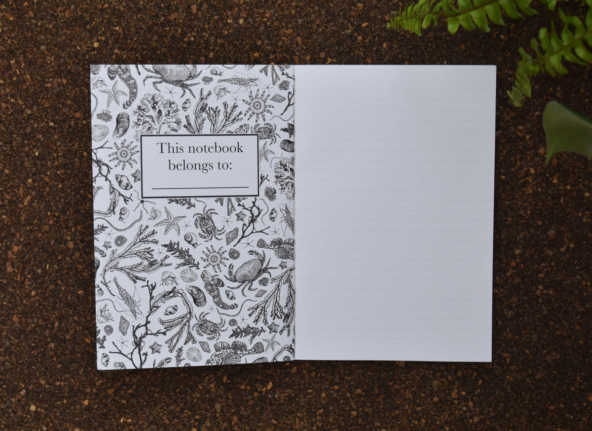 Recycled Rockpool Notebook
