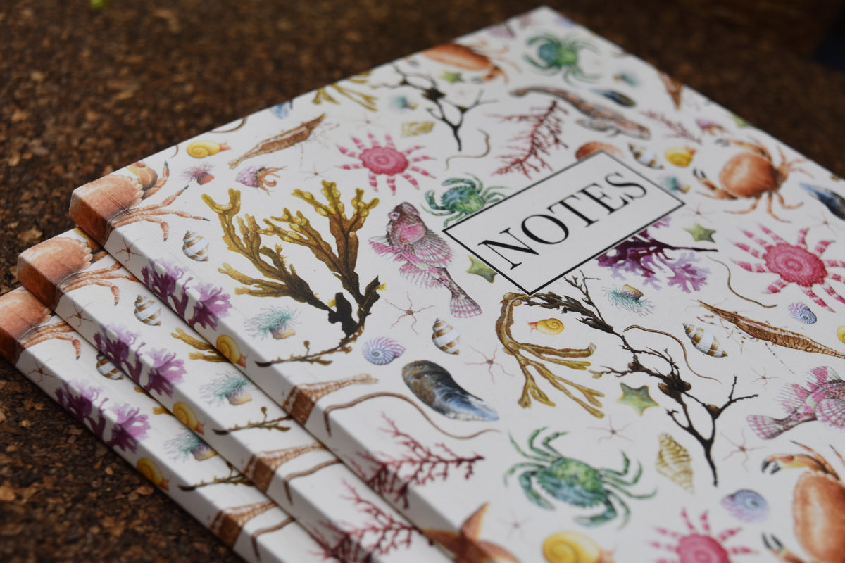 Recycled Rockpool Notebook