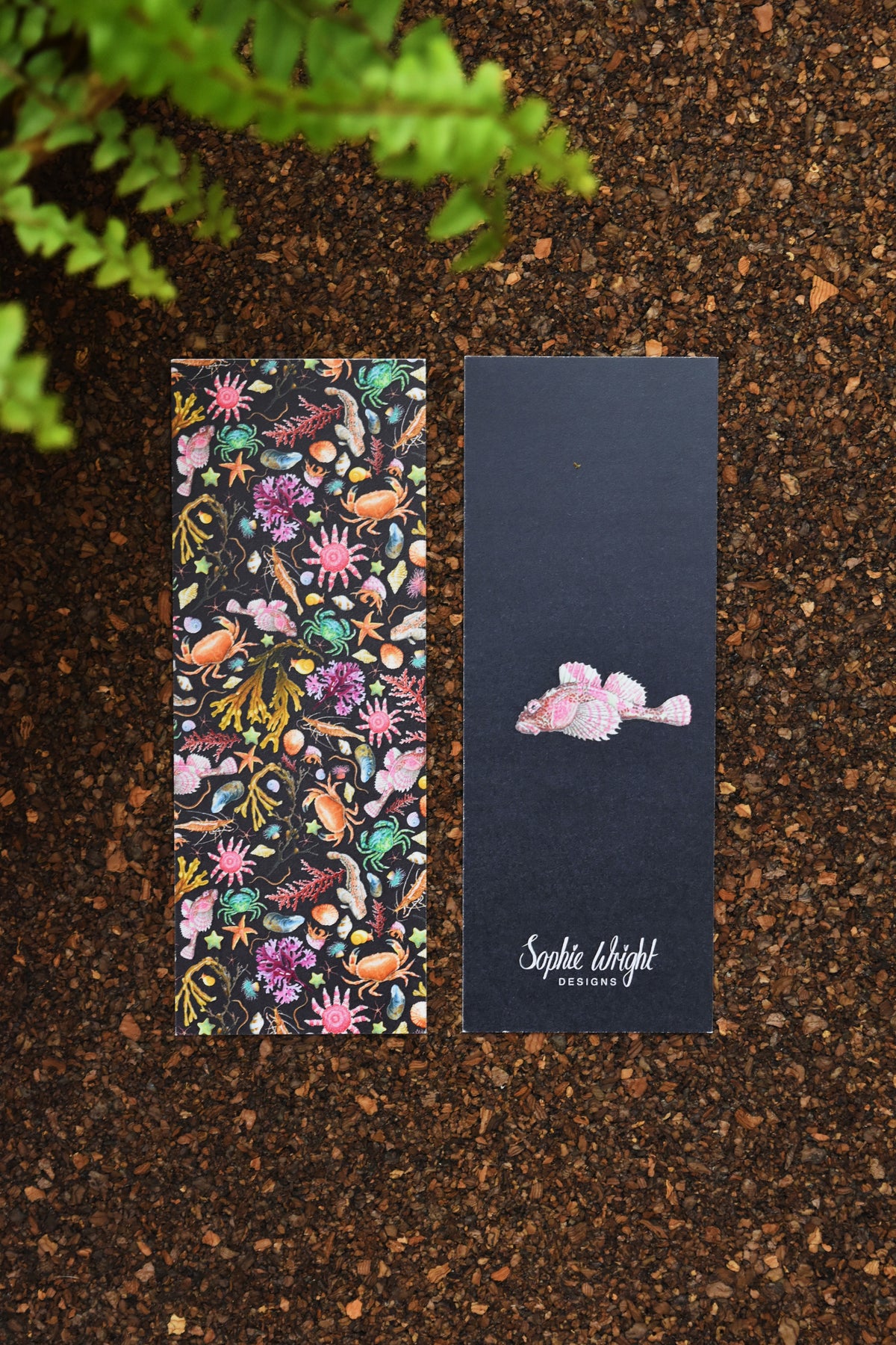 Recycled Black Rockpool Bookmark