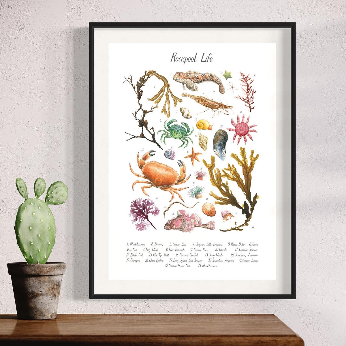 Rockpool Poster