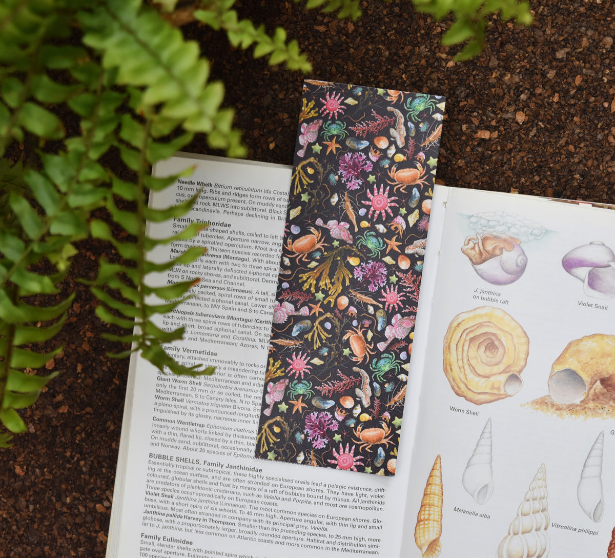 Recycled Black Rockpool Bookmark
