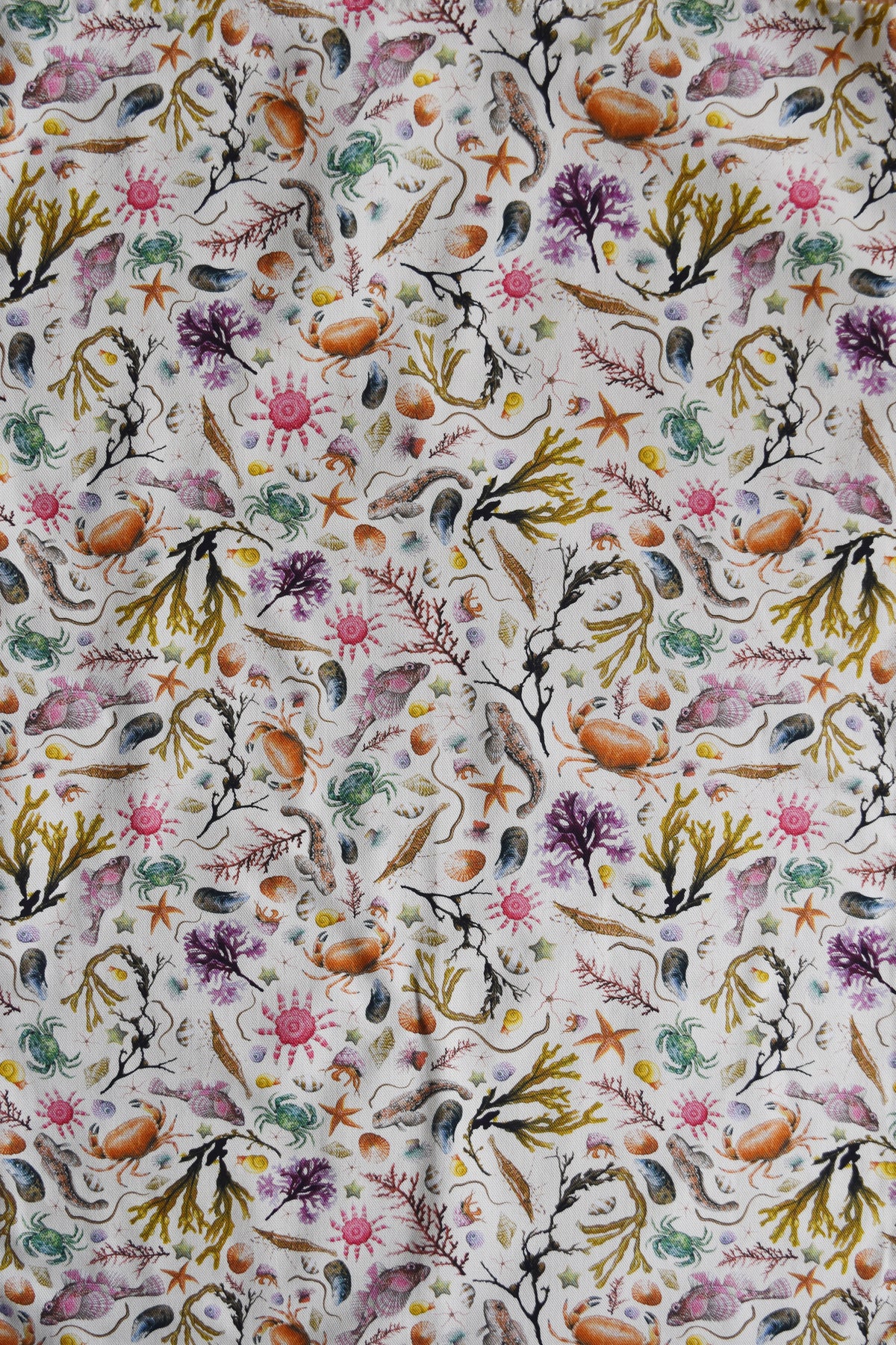 Organic Cotton Cream Rockpool Tea Towel