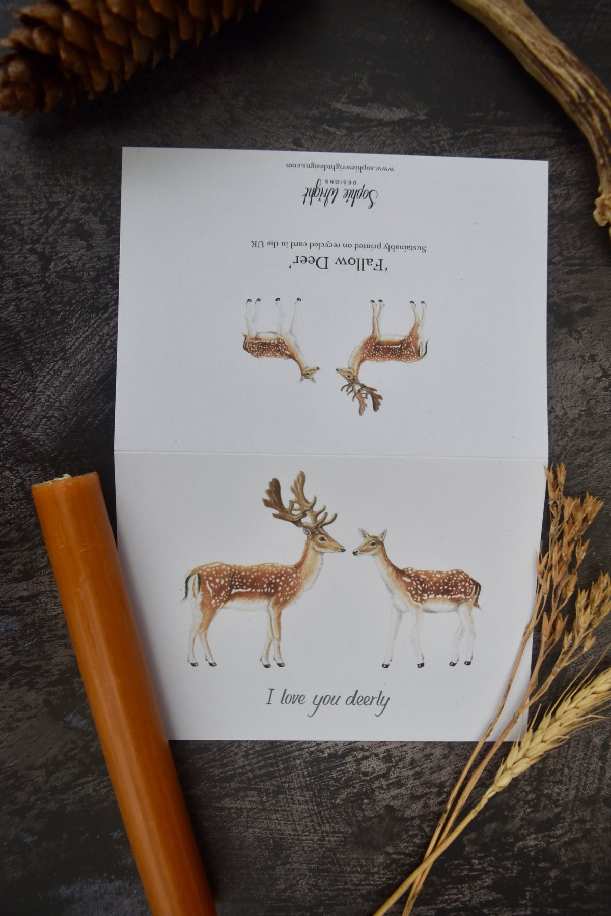 Card with reindeer illustrations on a dark surface with dried plants