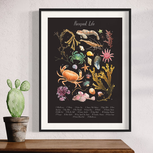 Rockpool Poster - Black Edition