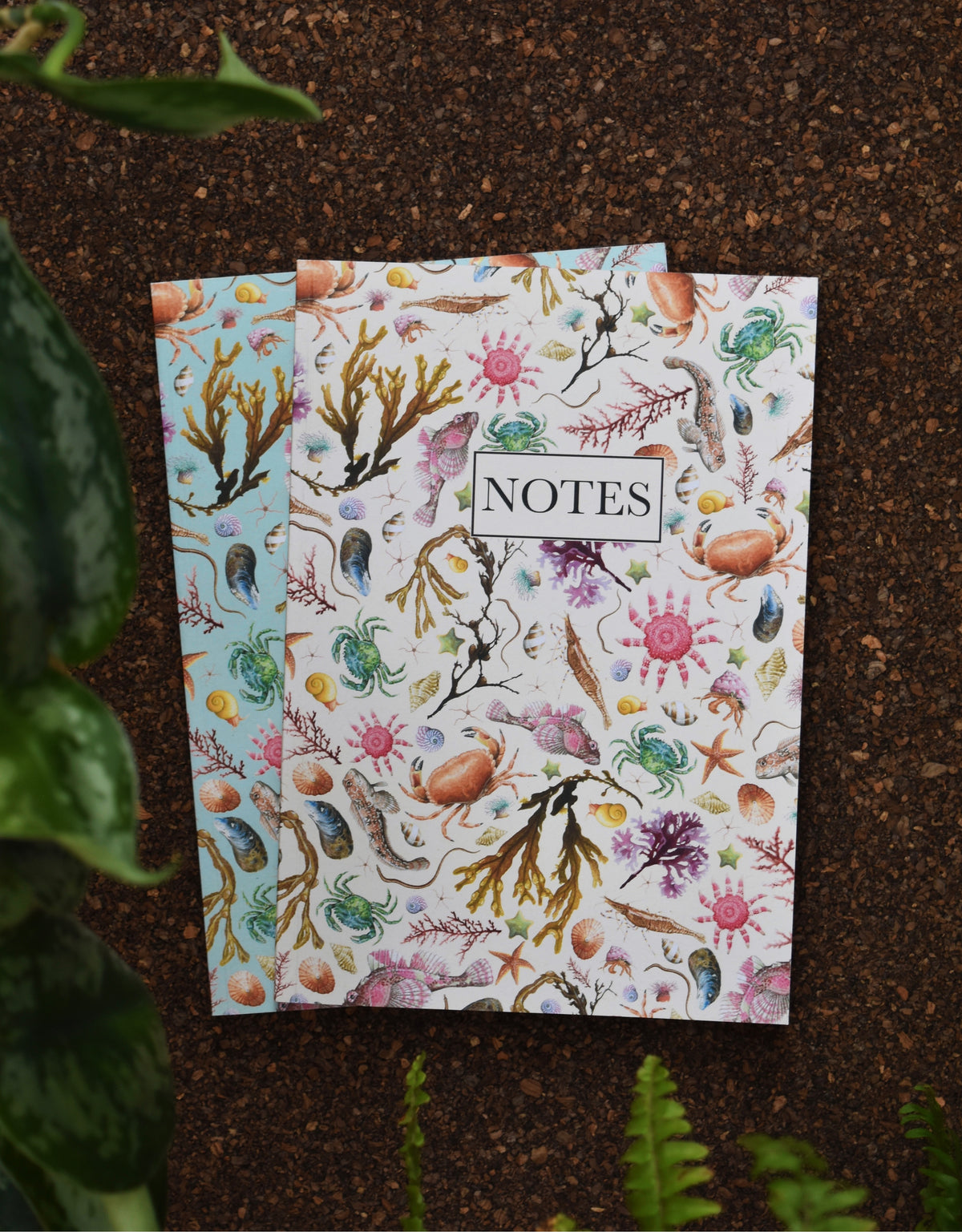 Recycled Rockpool Notebook