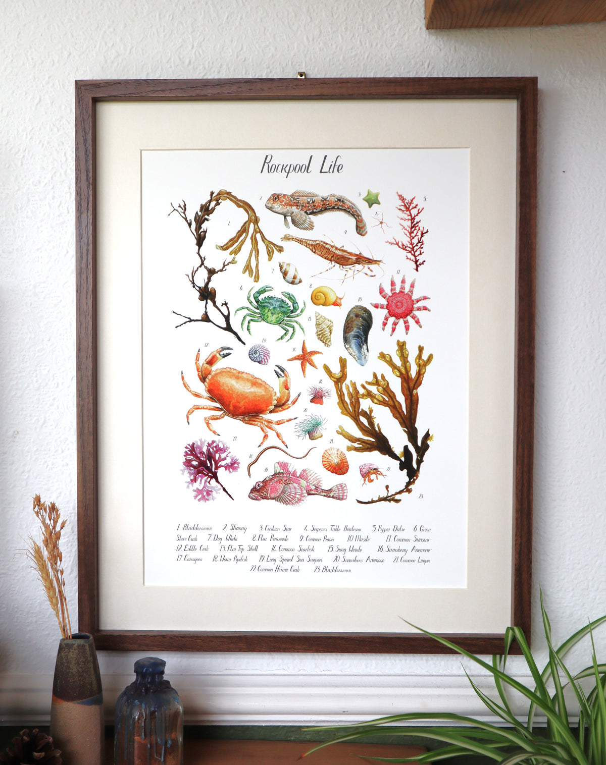 Rockpool Poster