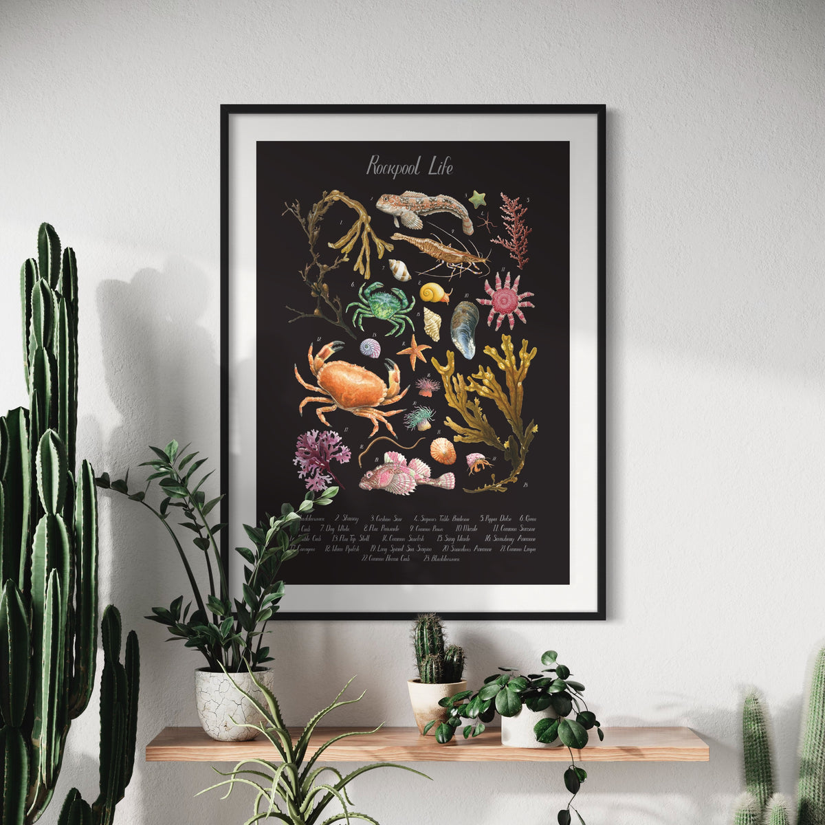 Rockpool Poster - Black Edition