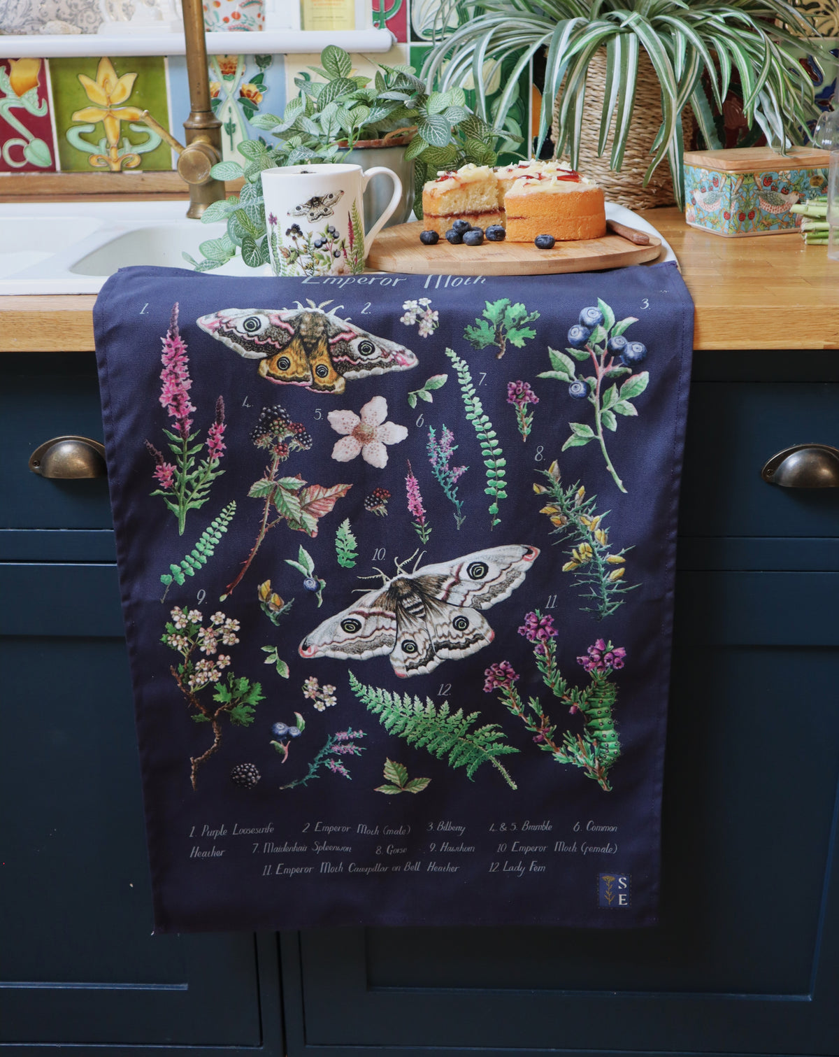 Emperor Moth ID Tea Towel
