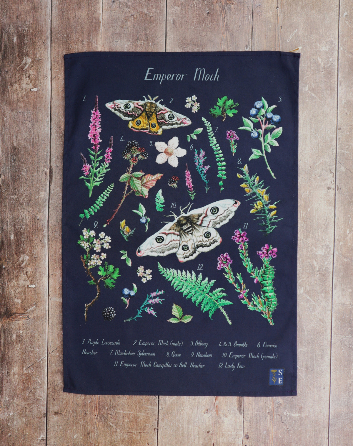 Emperor Moth ID Tea Towel