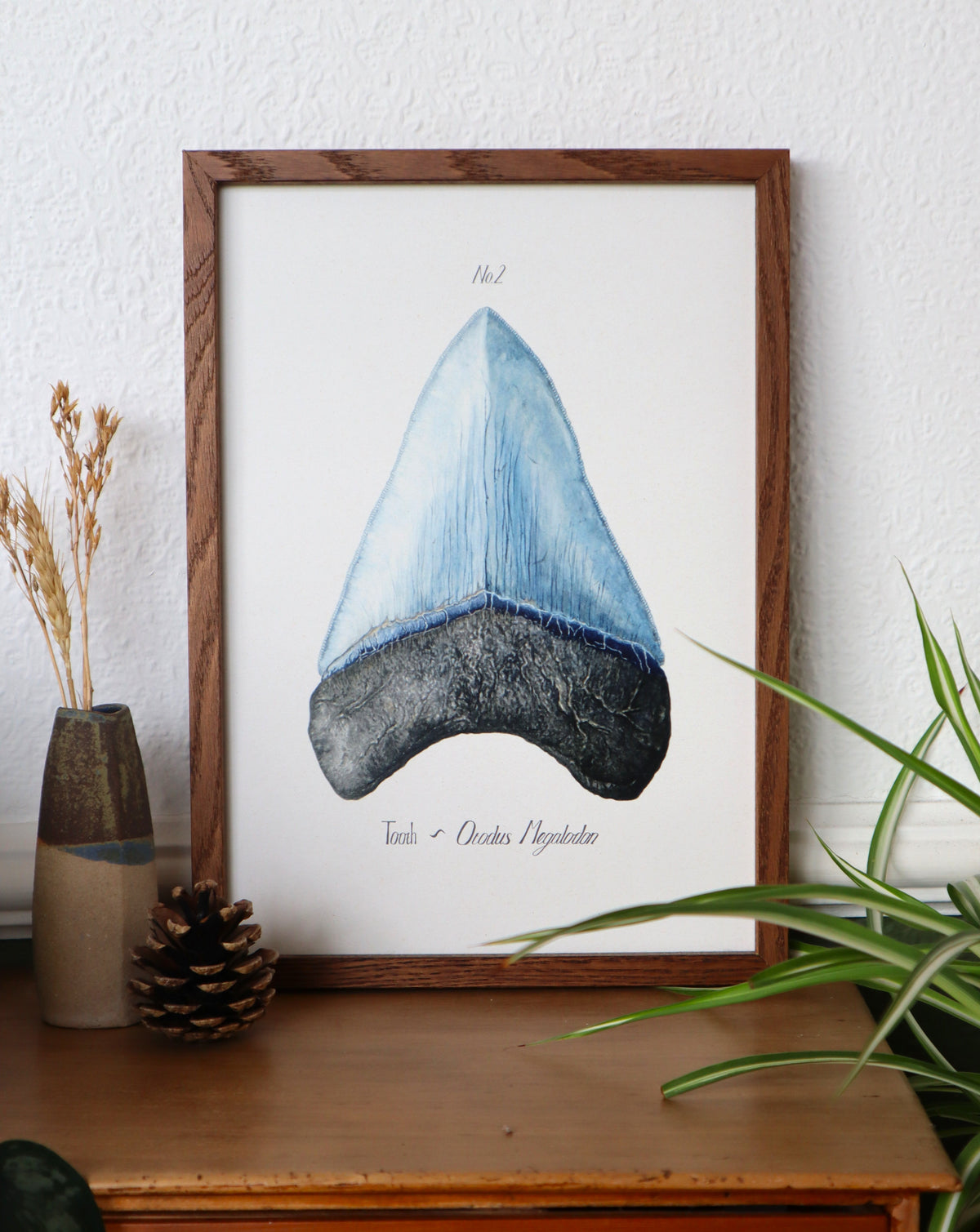 Megalodon Tooth Print - No. 2